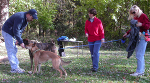 Pitting of the Pooches Dog Show