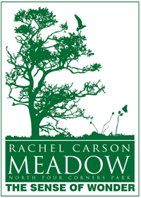Rachel Carson Meadow